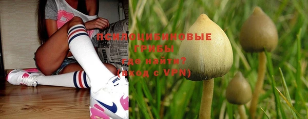 mdpv Алексин