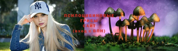 mdpv Алексин
