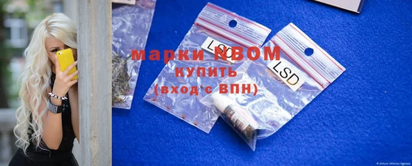 прущие грибы Алексеевка