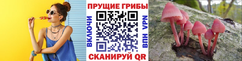 Псилоцибиновые грибы мухоморы  даркнет какой сайт  Осташков 